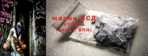 прущие грибы Вязники